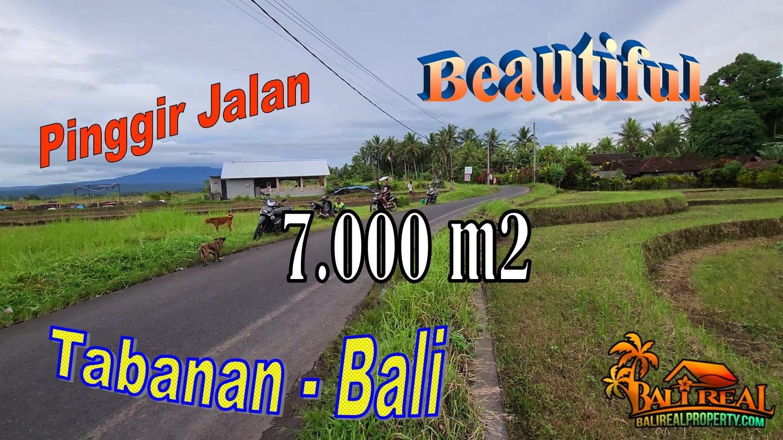 Beautiful 7,000 m2 LAND IN TABANAN BALI FOR SALE TJTB729