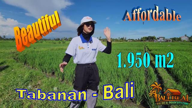 1,950 m2 LAND FOR SALE IN Sudimara Tabanan BALI TJTB731