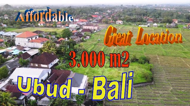 Affordable PROPERTY LAND for SALE in Ubud TJUB859
