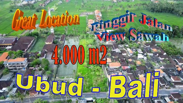 Beautiful 4,000 m2 LAND for SALE in UBUD BALI TJUB862