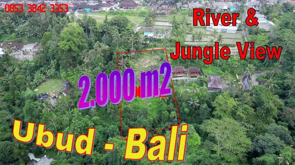 FOR SALE Affordable PROPERTY 2,000 m2 LAND in Tegalalang Ubud BALI TJUB867