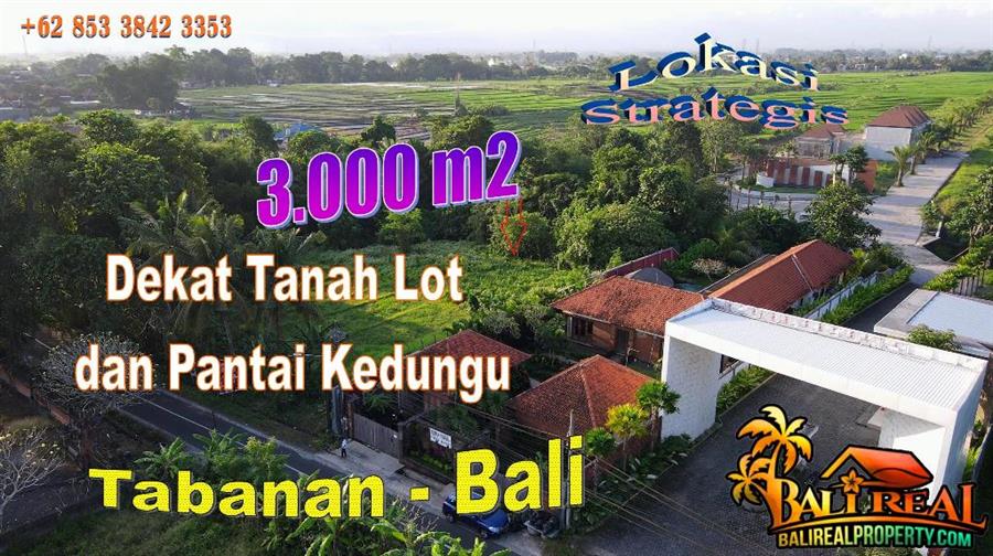 FOR SALE Affordable PROPERTY 3,000 m2 LAND IN Kediri Tabanan BALI TJTB746