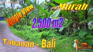 Cheap property 2,500 m2 LAND FOR SALE IN TABANAN TJTB723