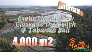 Kerambitan Tabanan BALI 4,000 m2 LAND FOR SALE TJTB762