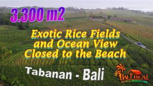 FOR SALE Beautiful LAND IN TABANAN BALI TJTB766