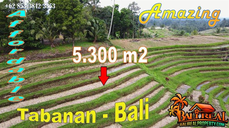 Affordable 5,300 m2 LAND FOR SALE IN Penebel Tabanan BALI TJTB767
