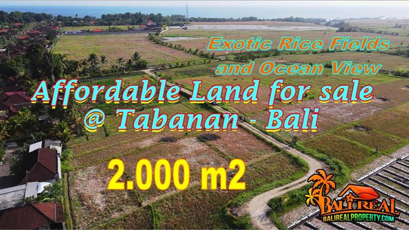 Affordable PROPERTY 1,500 m2 LAND FOR SALE IN TABANAN TJTB769