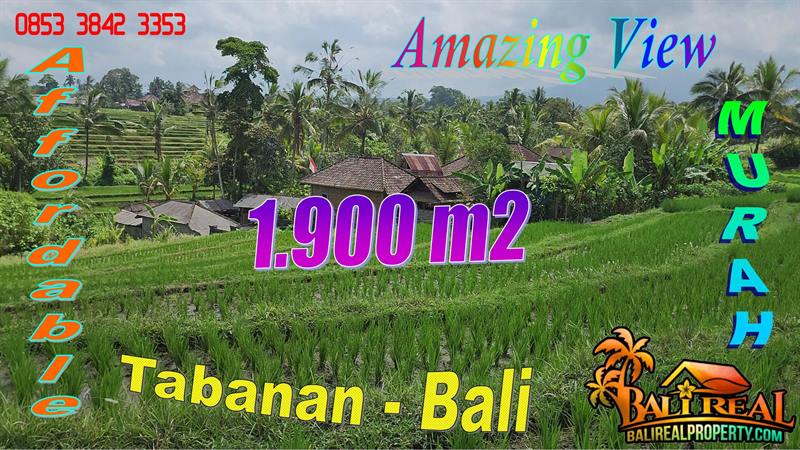 Affordable PROPERTY 1,950 m2 LAND FOR SALE IN TABANAN TJTB771