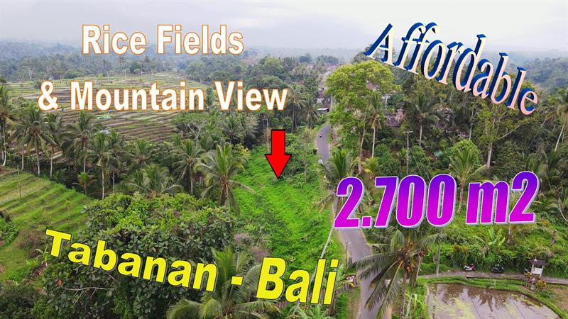 Cheap property 2,700 m2 LAND FOR SALE IN TABANAN TJTB773