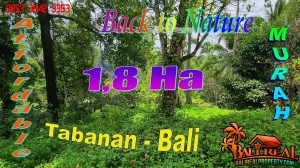 18,000 m2 LAND FOR SALE IN Penebel Tabanan BALI TJTB777