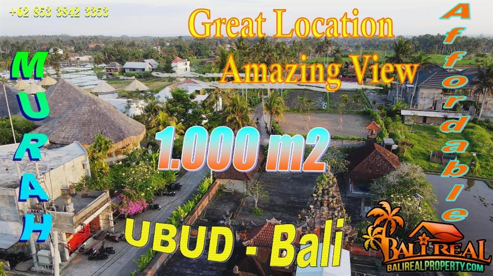 Affordable 1,000 m2 LAND for SALE in Sukawati Ubud BALI TJUB874