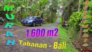 Affordable PROPERTY LAND SALE IN Penebel Tabanan TJTB780