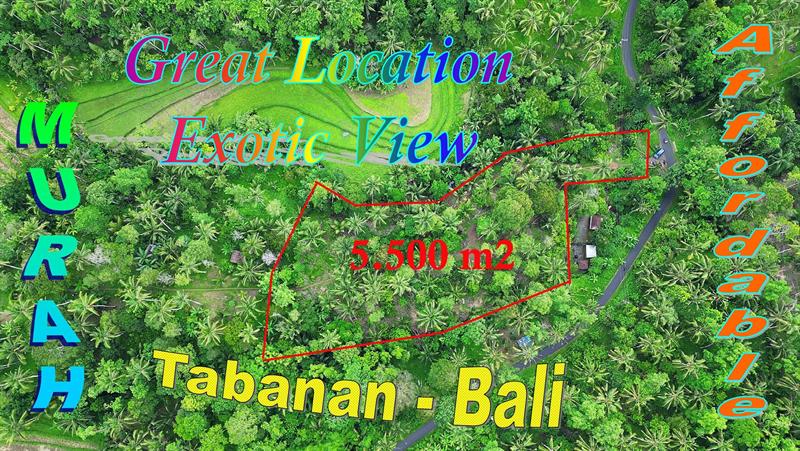 FOR SALE Magnificent LAND IN TABANAN BALI TJTB792
