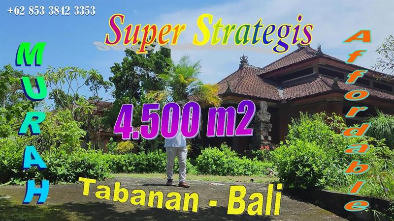 Cheap land for sale in strategic location near Tabanan City. Free ex-Puri building TJTB820
