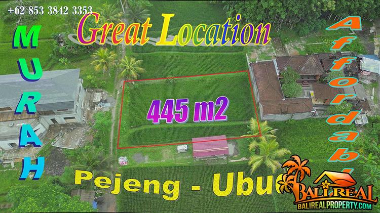Affordable 445 m2 LAND for SALE in Pejeng Ubud BALI TJUB878