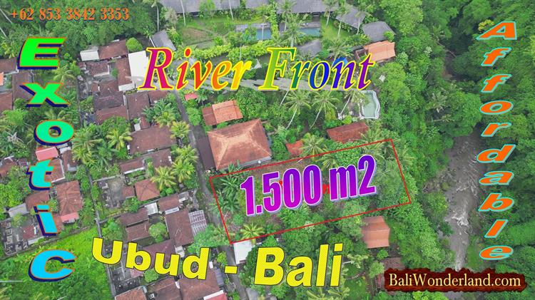 Beautiful PROPERTY LAND for SALE in Sukawati Ubud BALI TJUB880